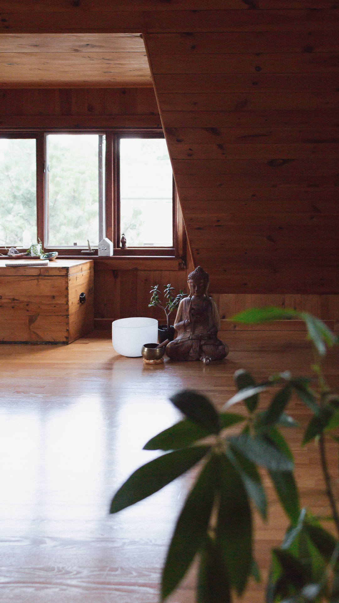 Naomi Elder in downward dog yoga pose, with one leg in the air